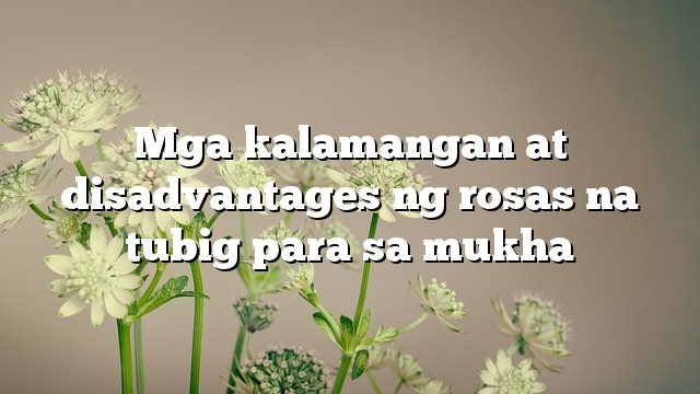 Mga kalamangan at disadvantages ng rosas na tubig para sa mukha