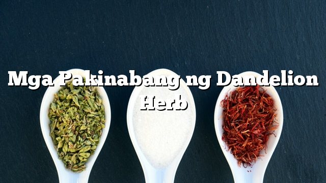 Mga Pakinabang ng Dandelion Herb