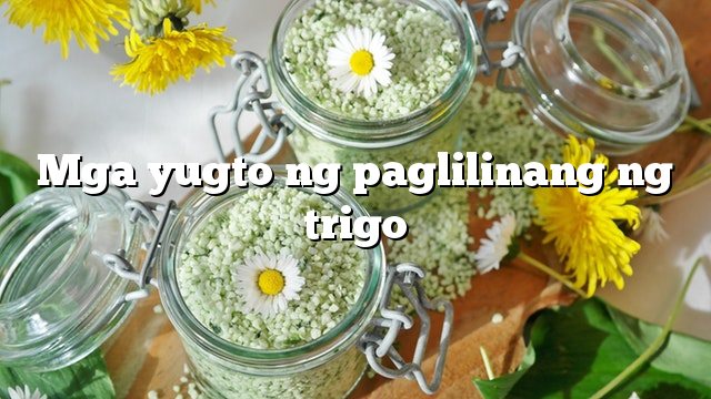 Mga yugto ng paglilinang ng trigo