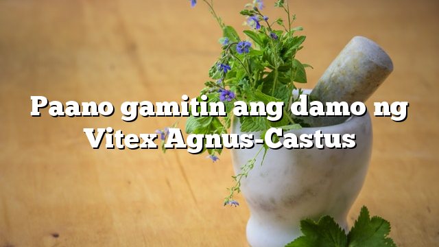 Paano gamitin ang damo ng Vitex Agnus-Castus