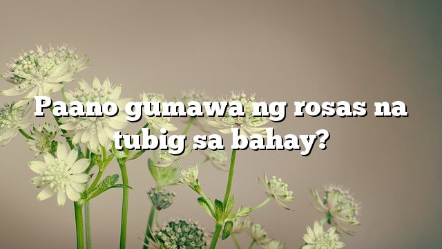 Paano gumawa ng rosas na tubig sa bahay?