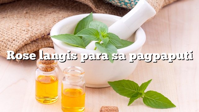 Rose langis para sa pagpaputi